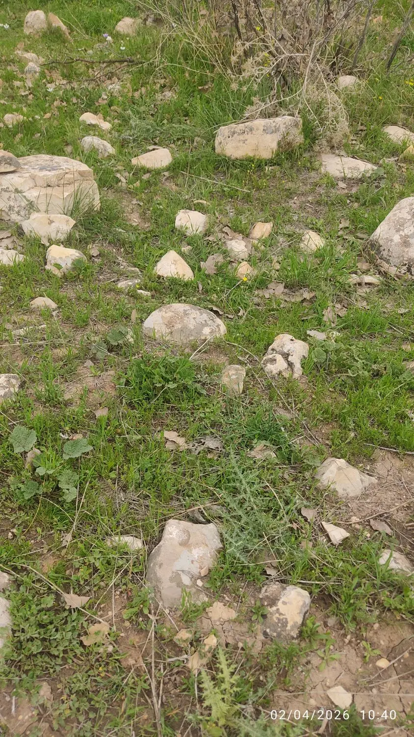 زمین تازه اباد