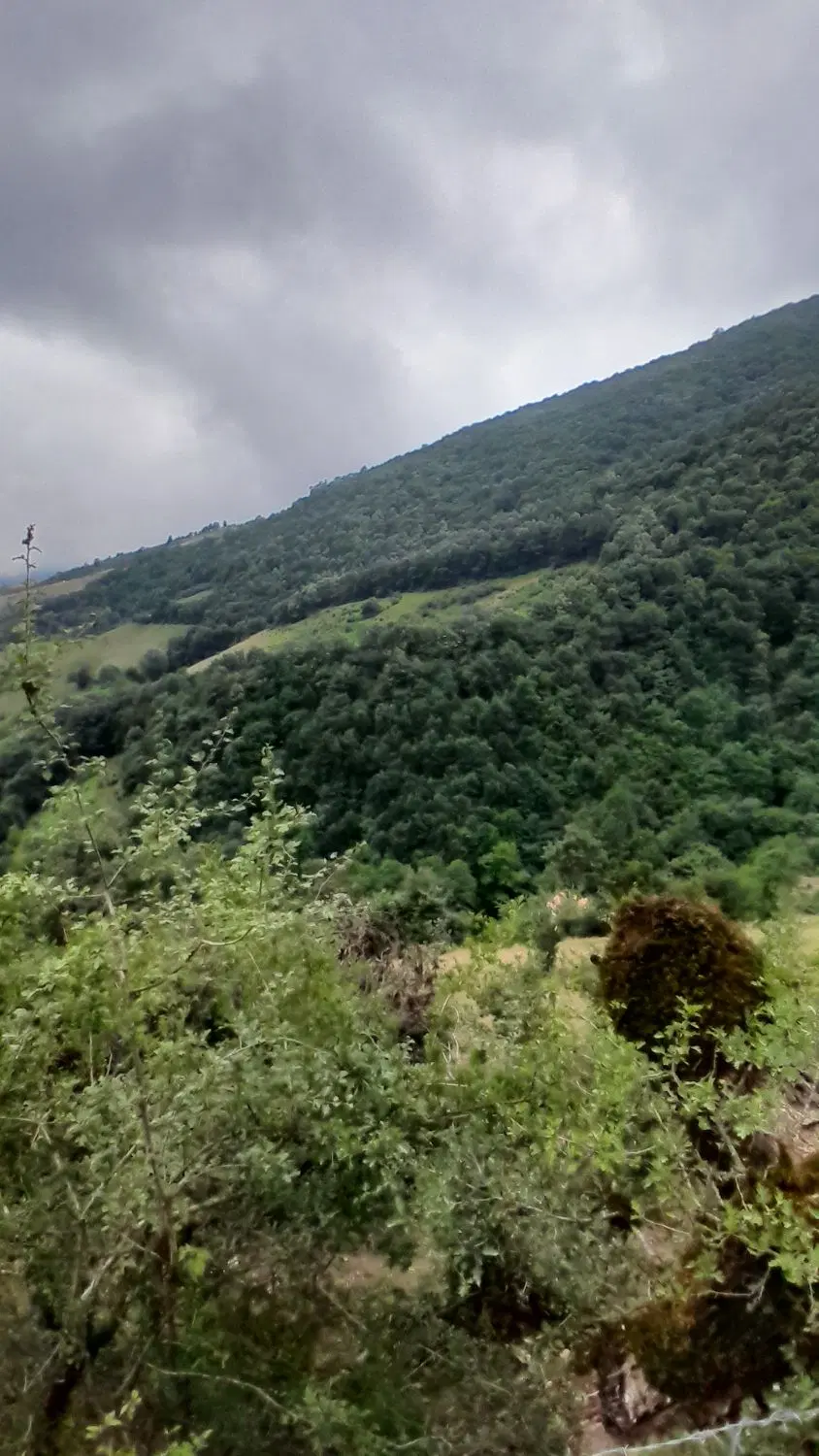 فروش زمین کلاردشت(روستای آغوزداربن)