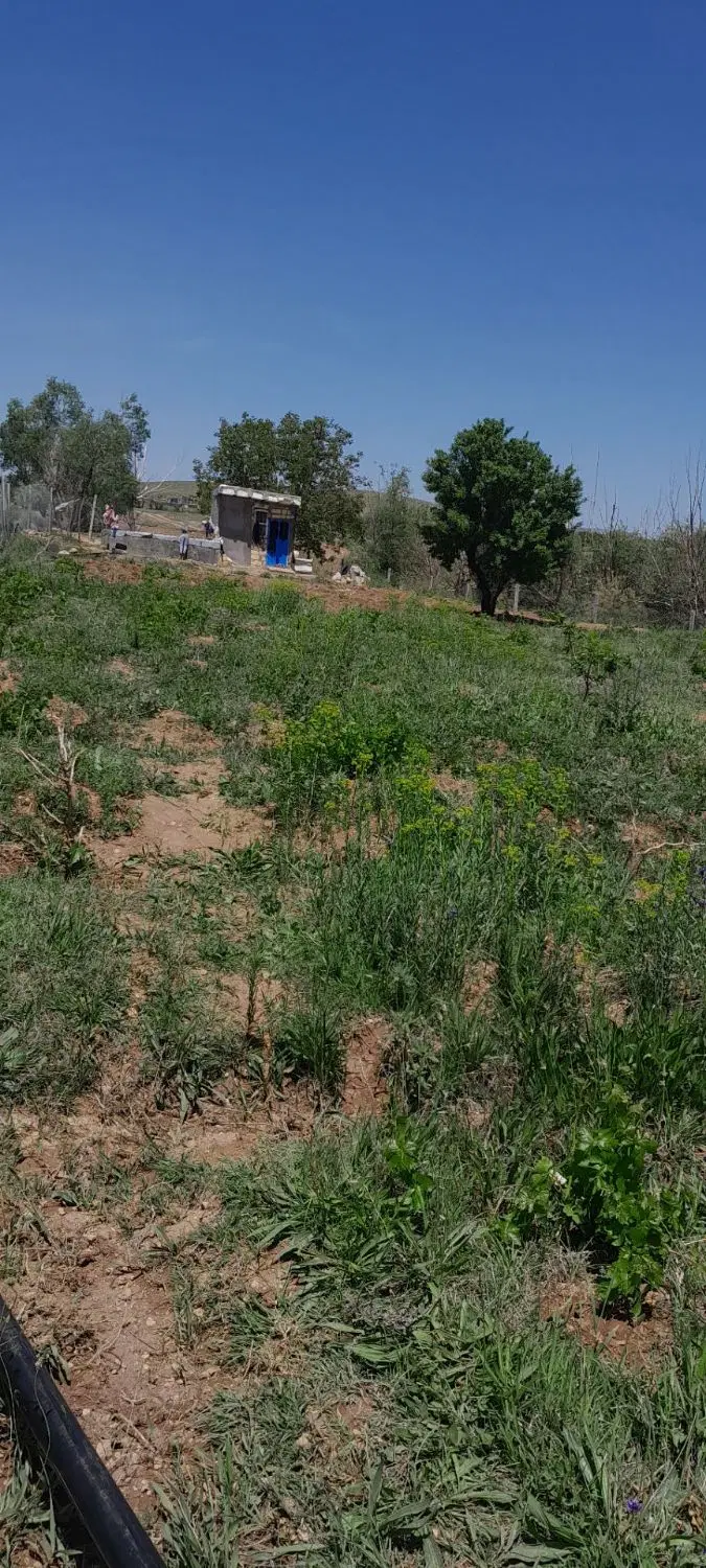 فروش باغ