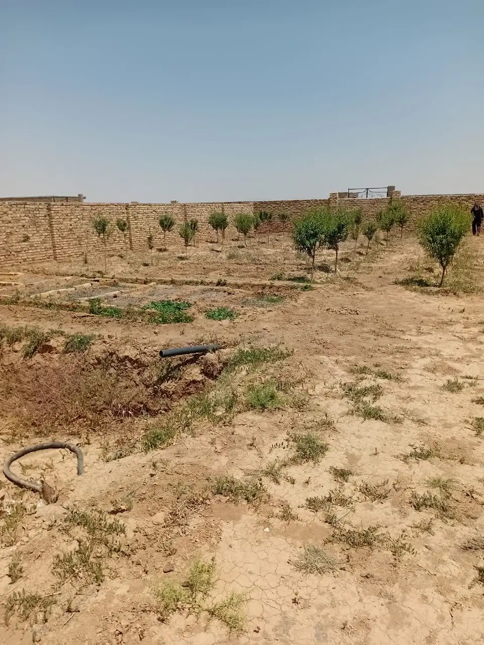 زمین ویلایی جاده میقان