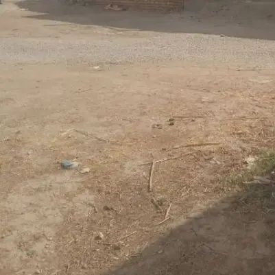 زمین مسکونی ماسور