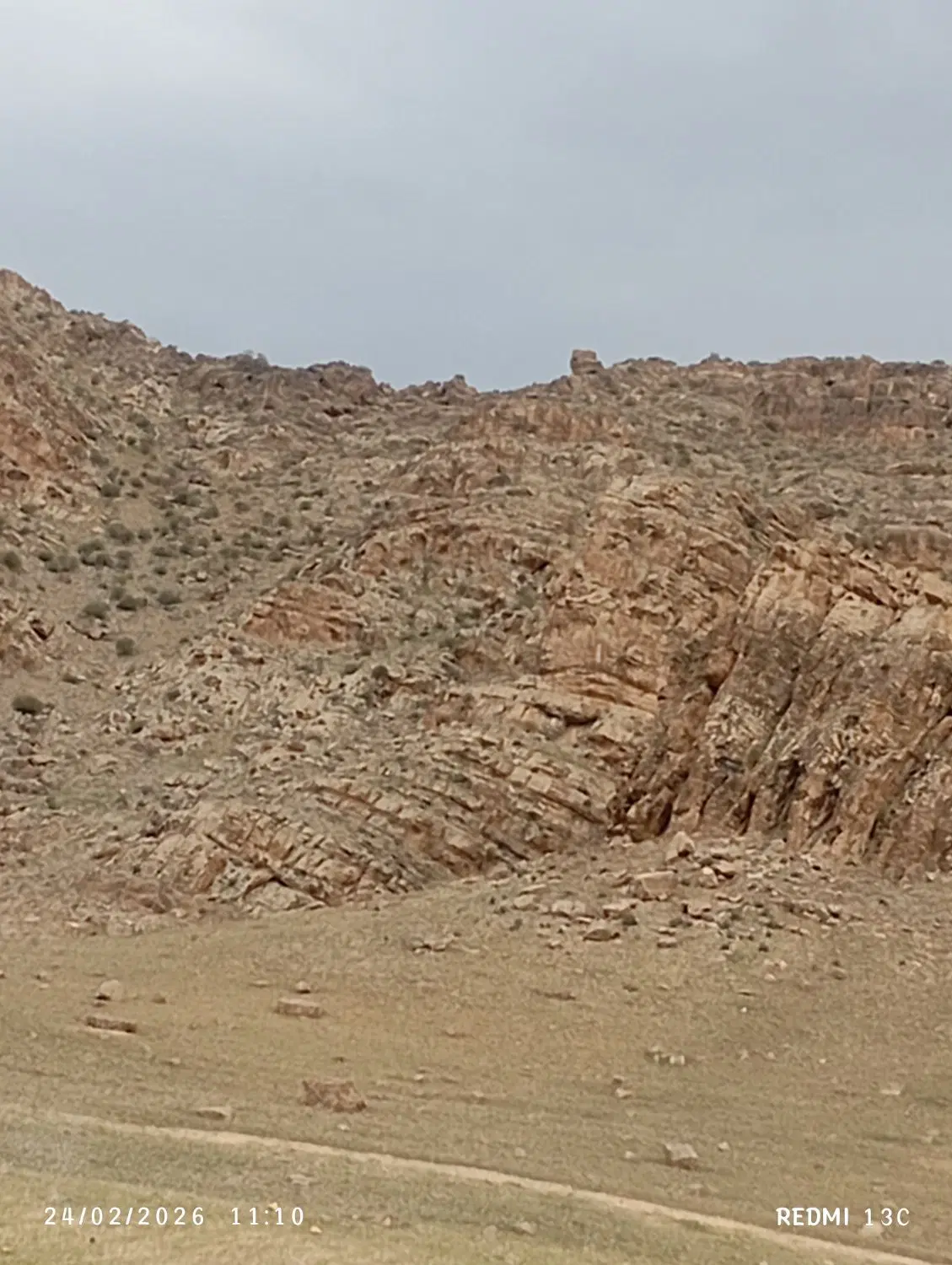 زمین تلوری