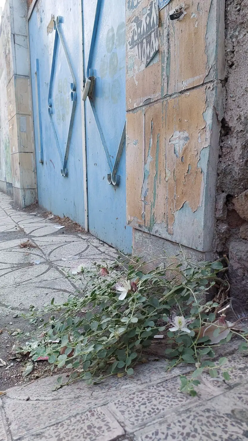 اجاره پارکینگ مسکونی فلکه چهارم