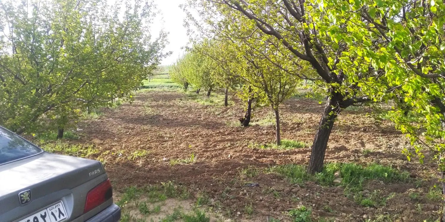 باغ سه هزار متری روستای روان