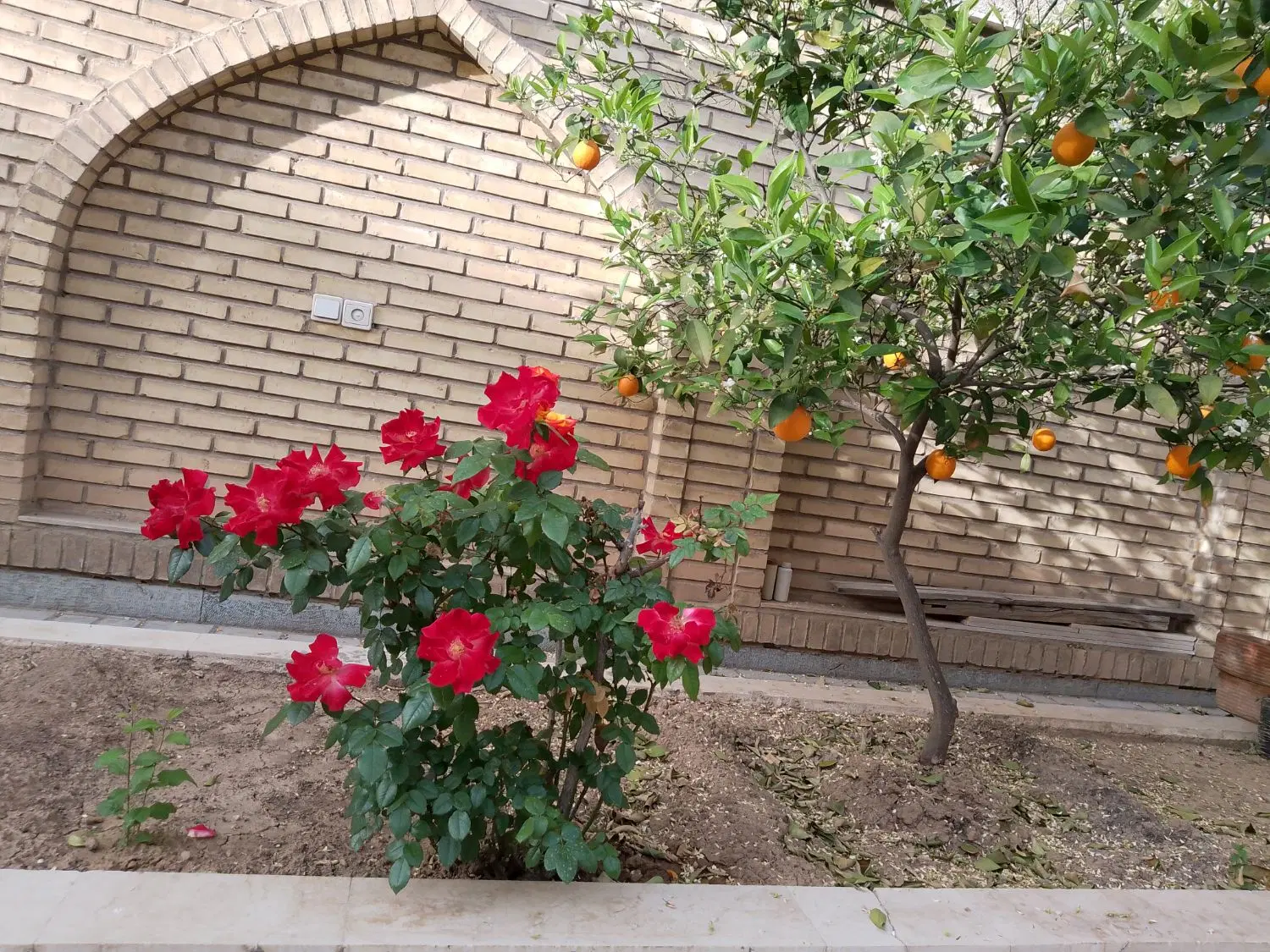 رهن منزل 225 متری 3 خوابه