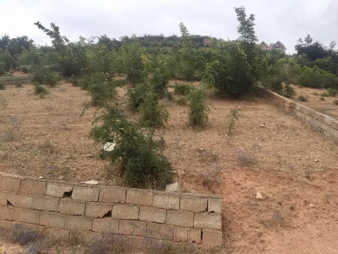 فروش زمین 500 متری نوشهر کجور بسطام