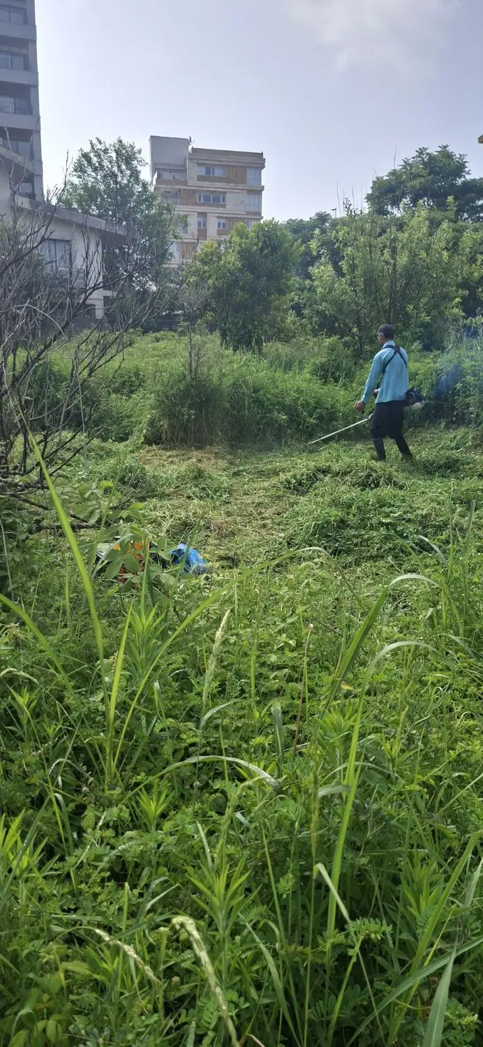 فروش زمین در نوشهر شهرک عبدالهی