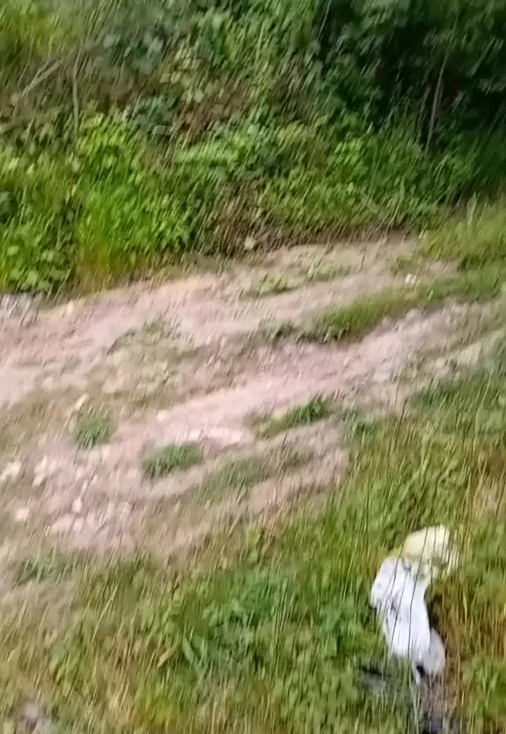 زمین ۲۵۰۰متری مازوباغسر.(دالخانی)