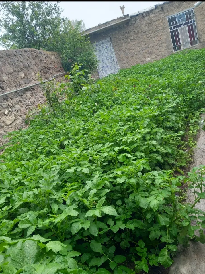 سوئیت اجاره ای در منطقه ی گردشگری مشگین شهر