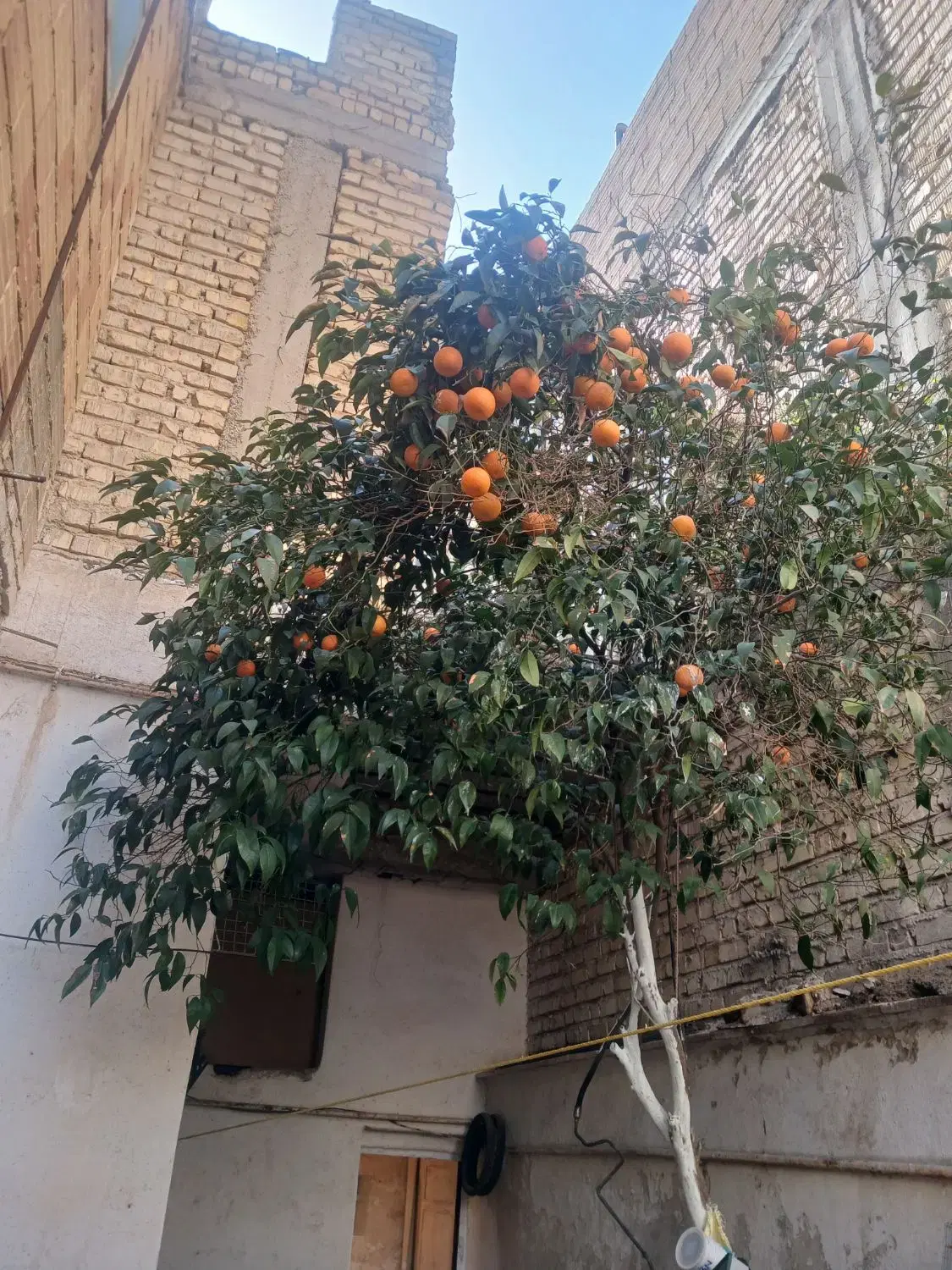 منزل شهرک سعدی  وفائی
