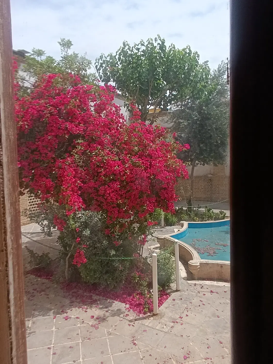 عروس داماد طلبه هستیم خونه برای اجاره میخواییم