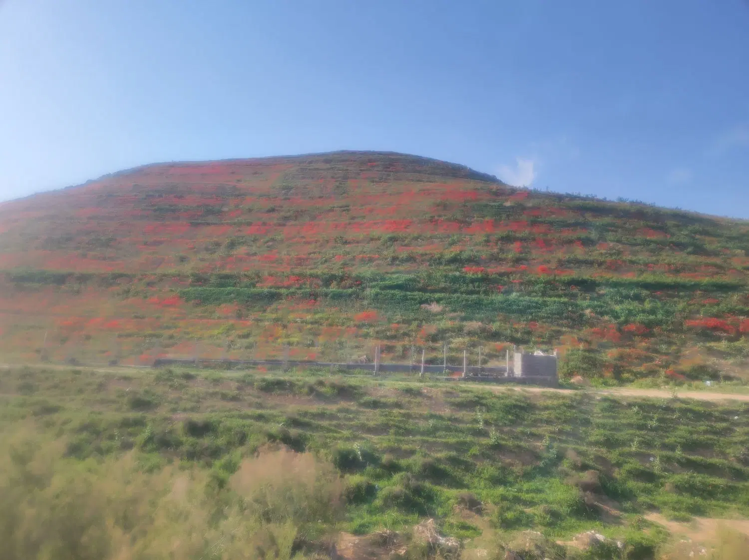 زمین فروشی