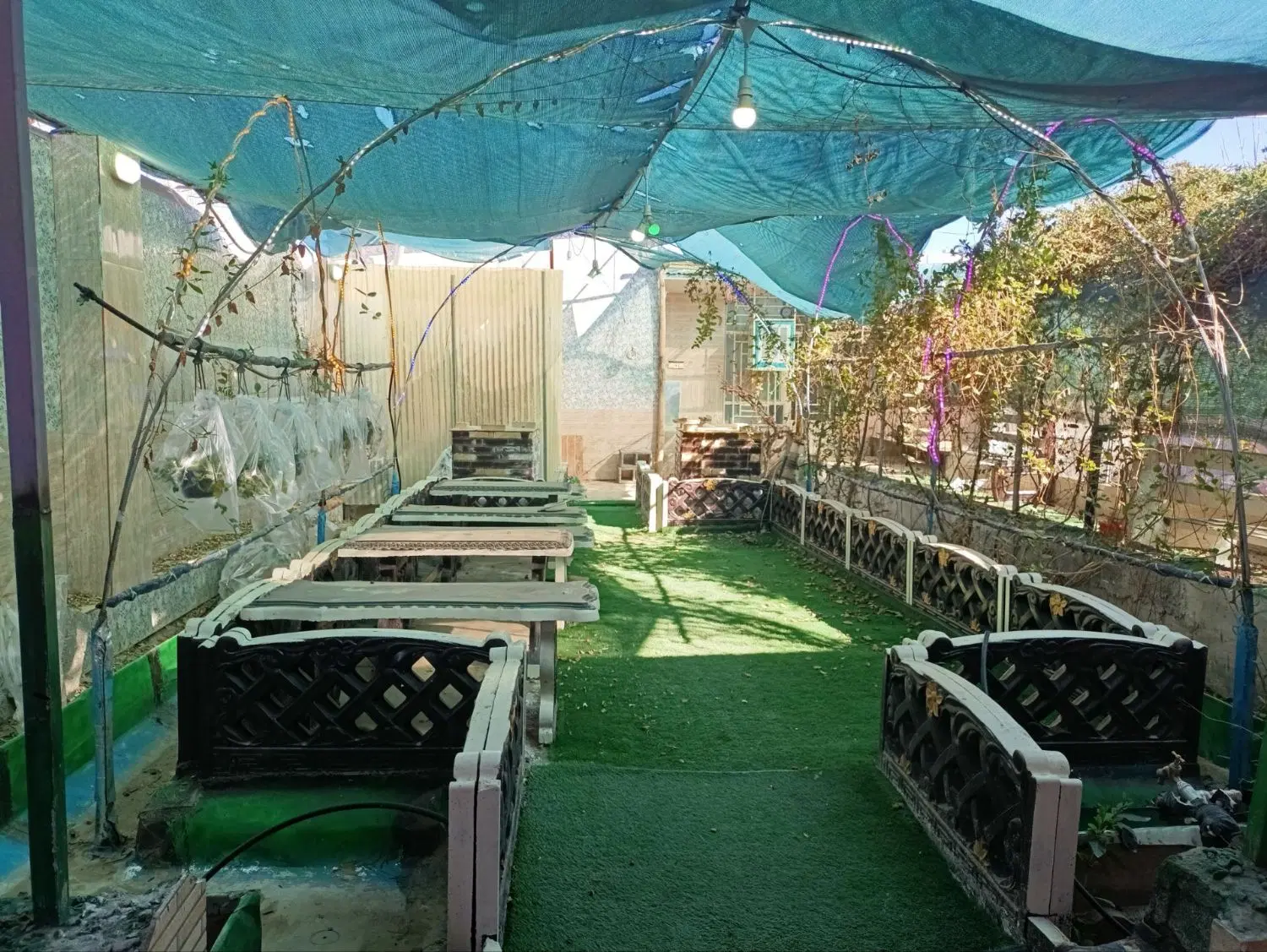 خونه باغچه دشتاب