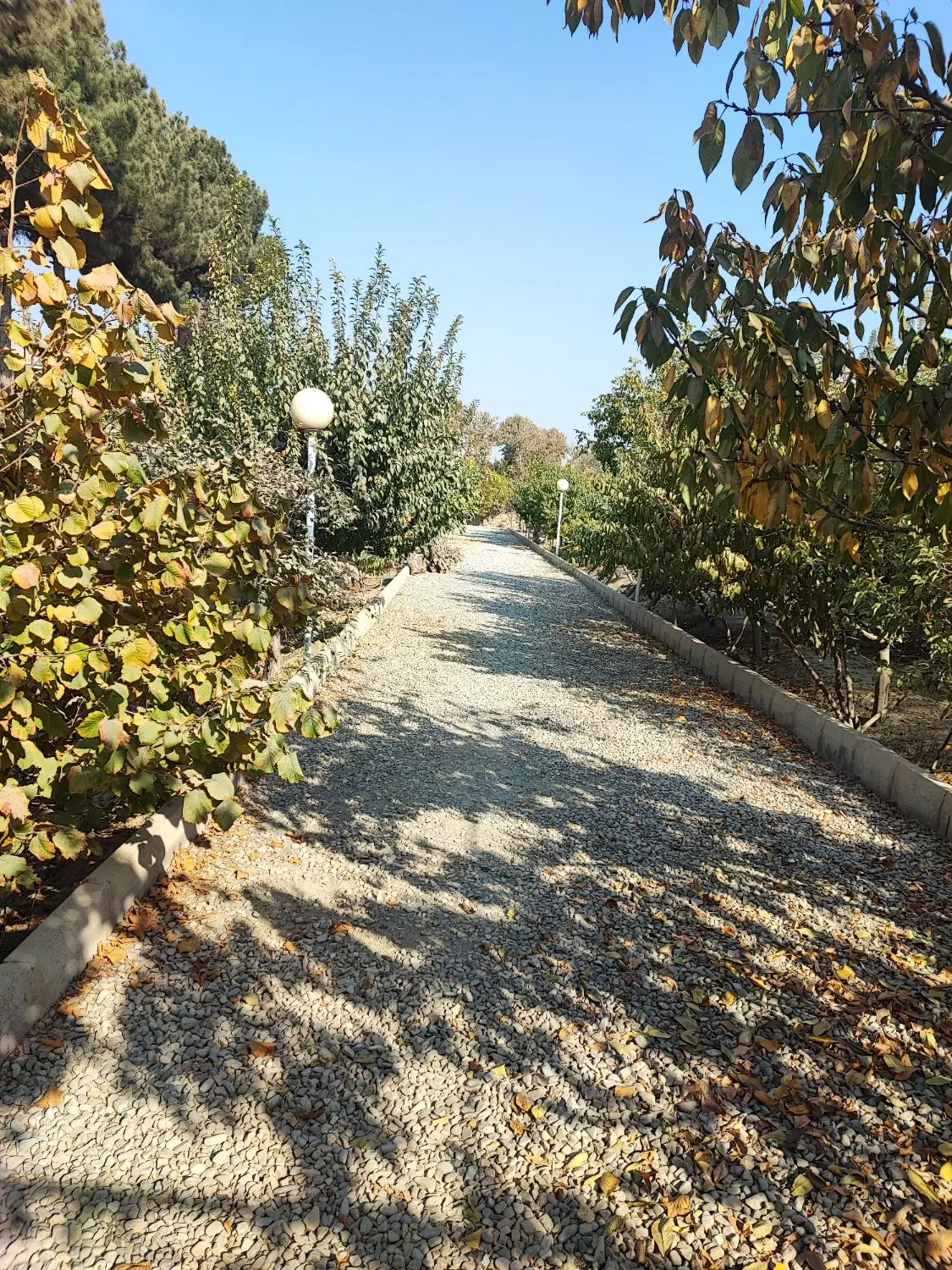 باغ ۲۶۰۰ متری در گلستانهای چهارباغ