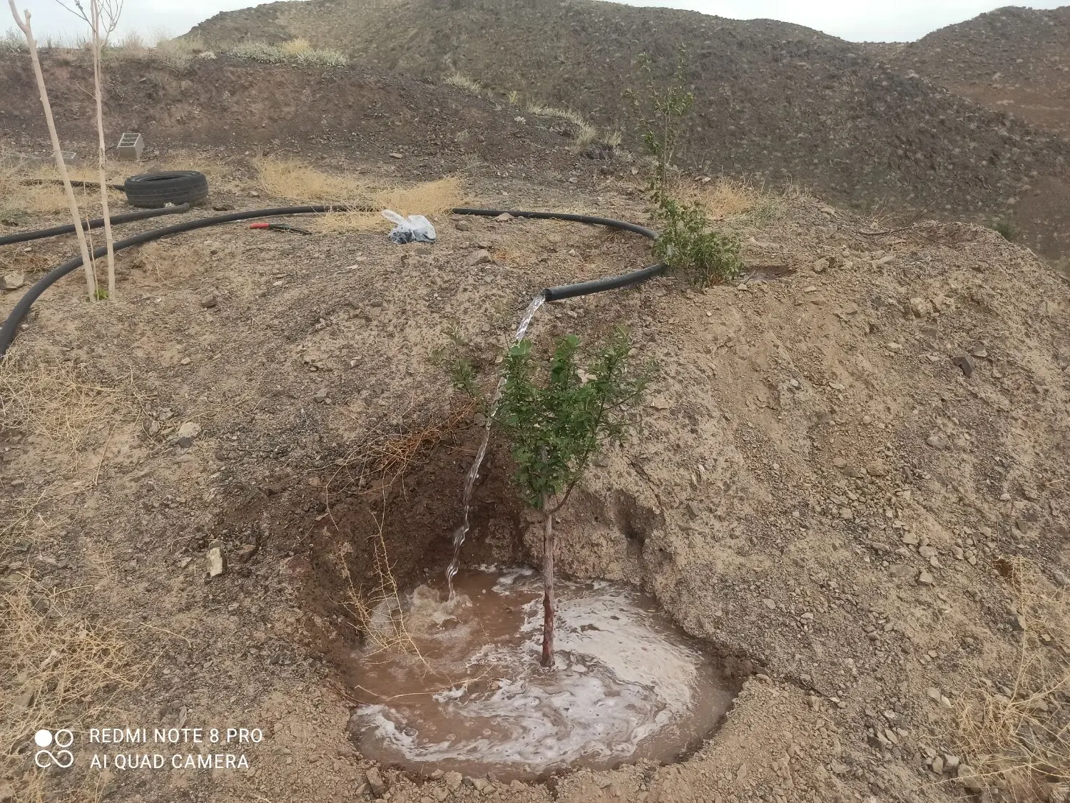 باغ هویزار(قز)۱۷۰۰