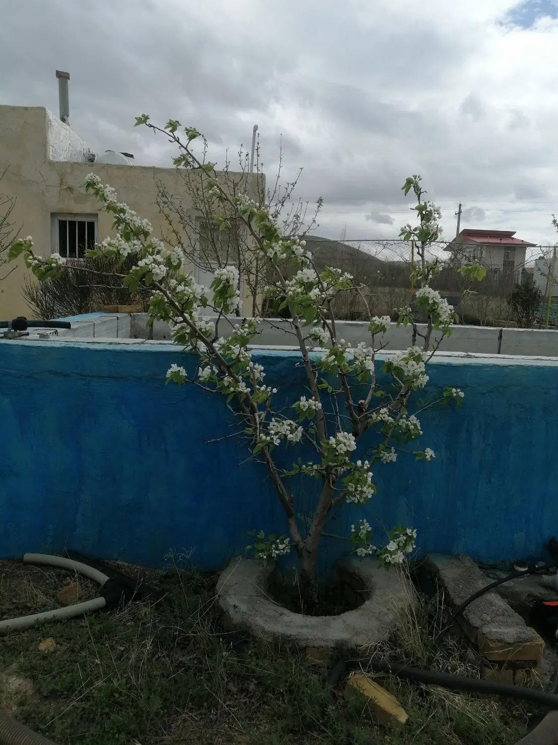 باغشهر علوم پزشکی