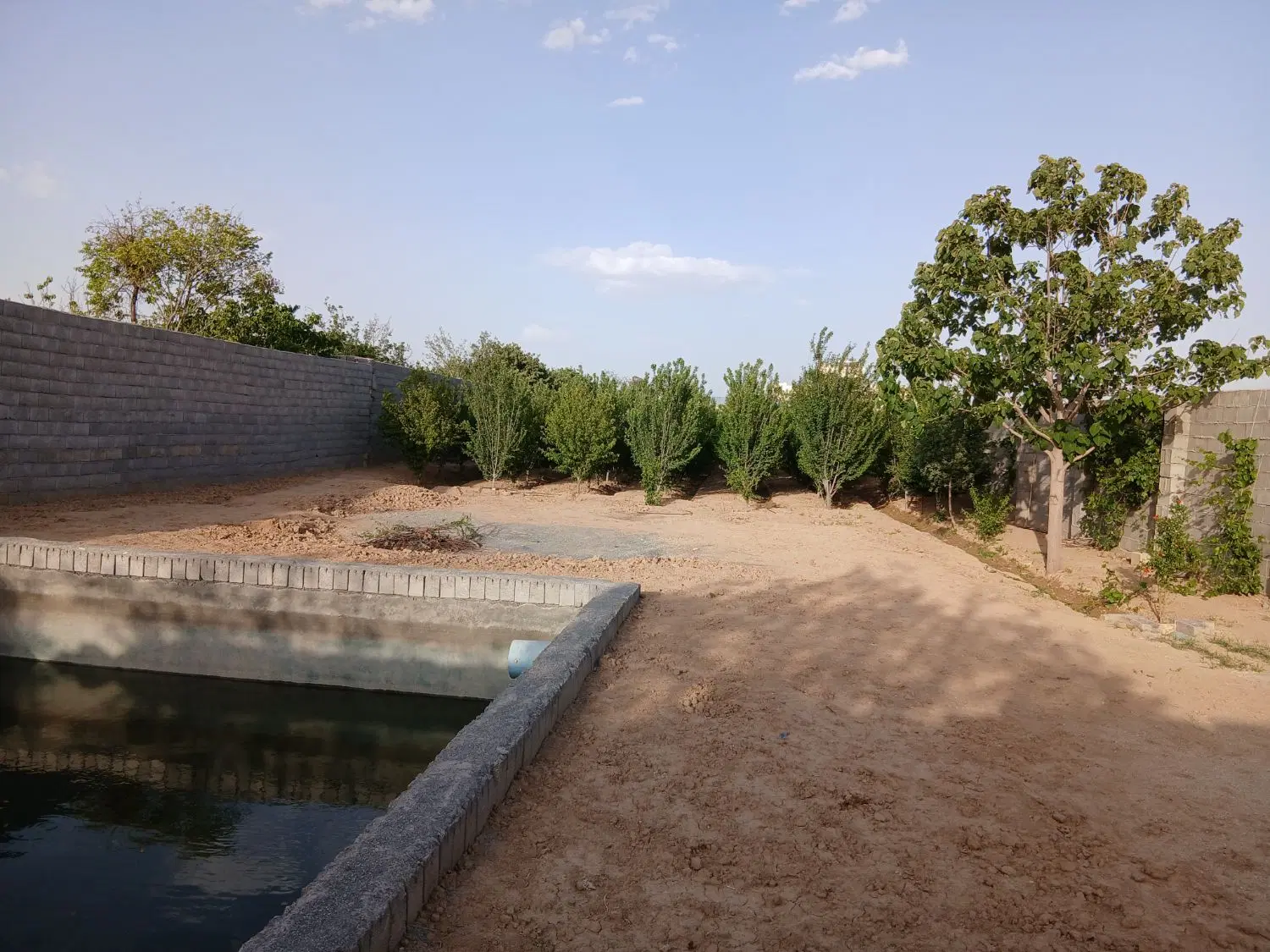 باغ کوشک