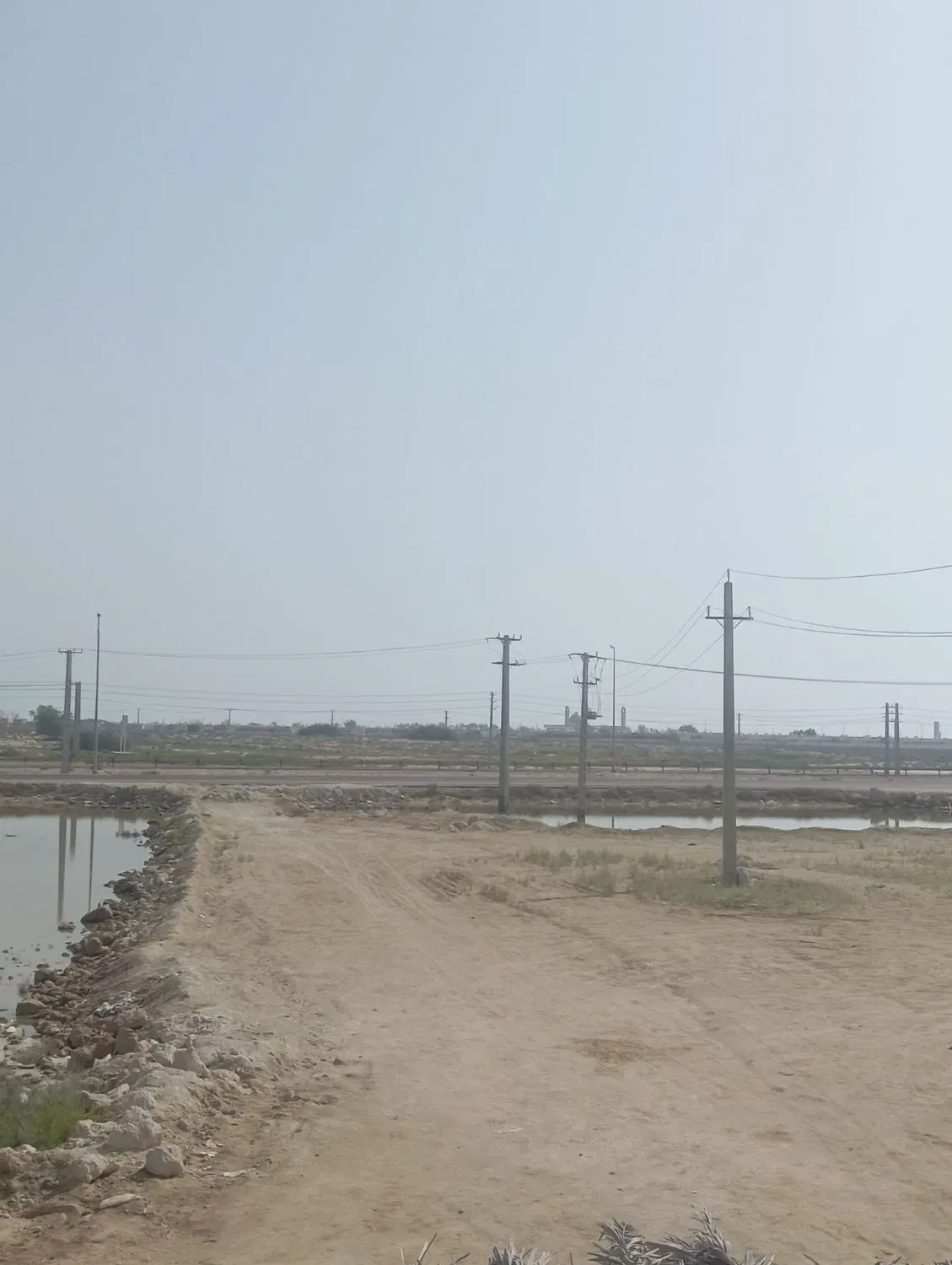 اجاره سویت