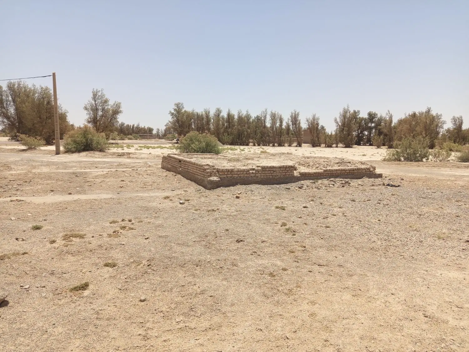 زمین با سند تک برگ
