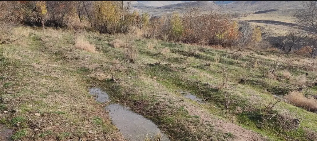 زمین باغی خوزنان طالقان 508 متری