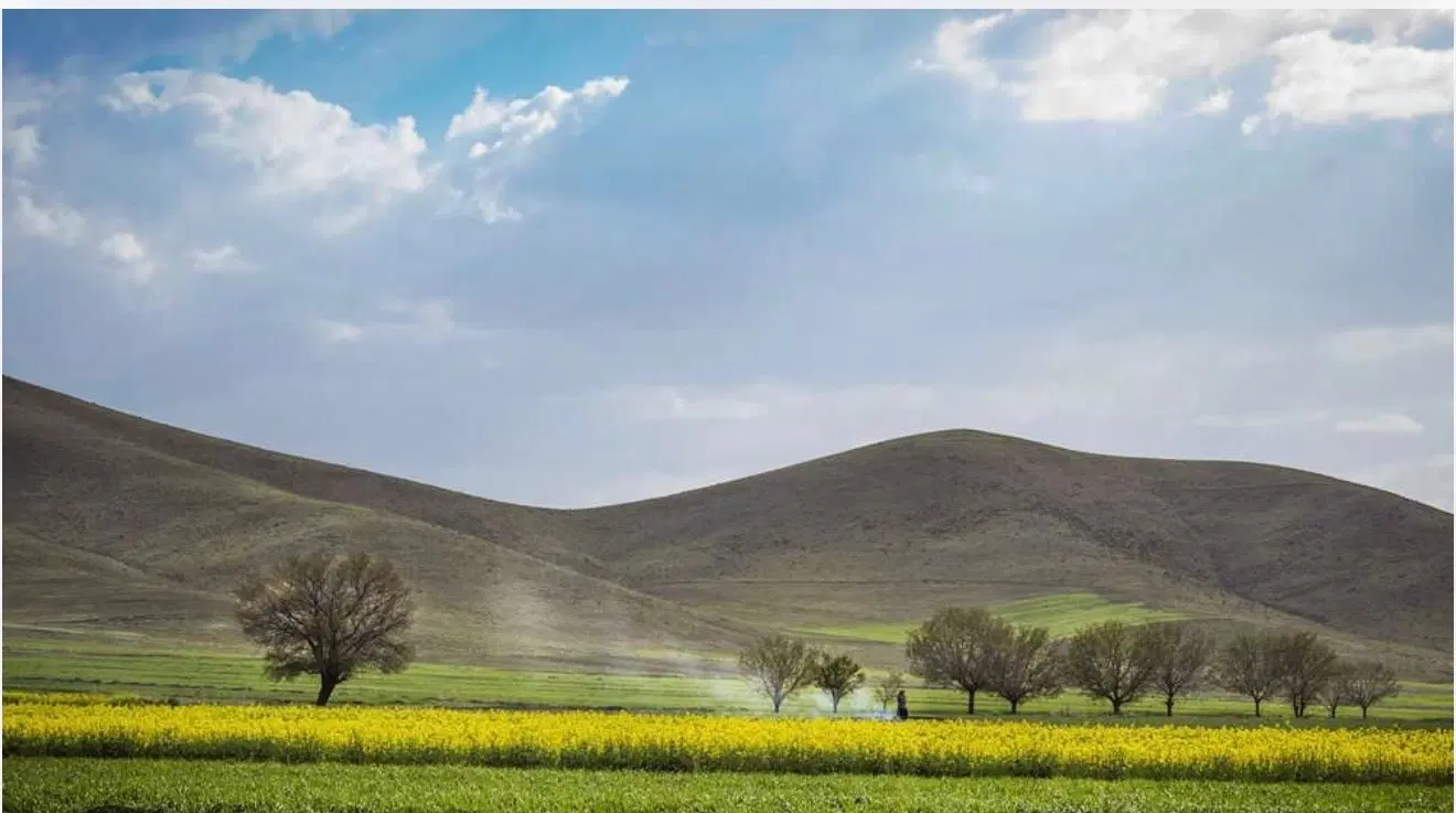 فروش زمین جهت ساخت سالن