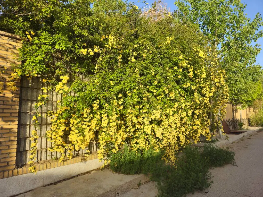 املاک