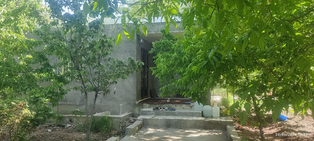 همخونه