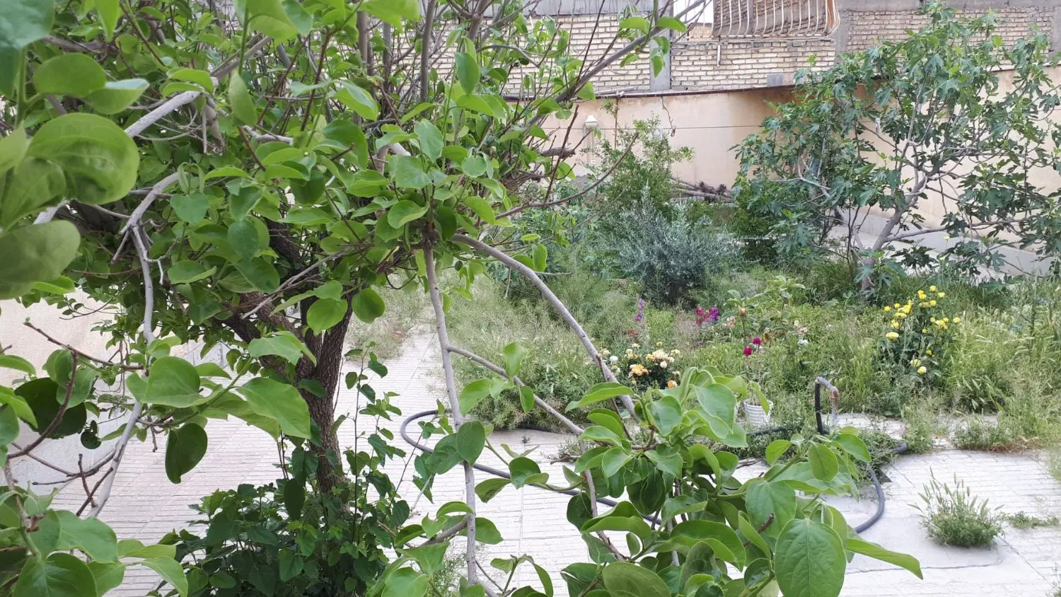 منزل‌ویلائی‌‌درگارماسه