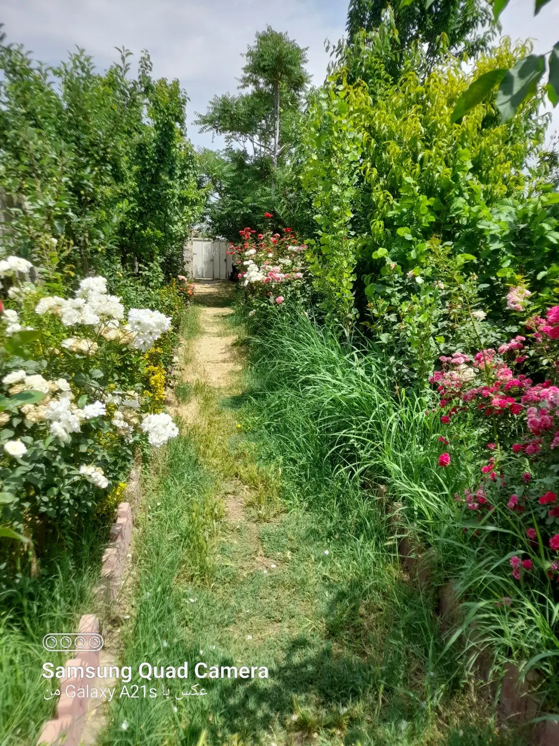 باغچه درینگی امام