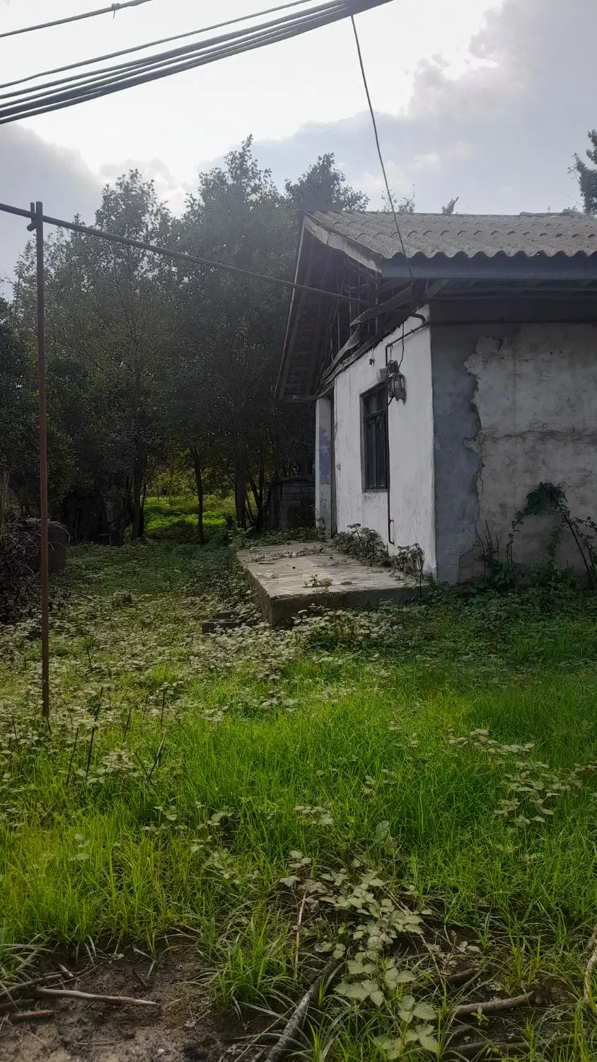 زمین مزایده ای