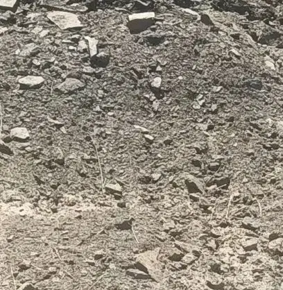 زمین مسکونی