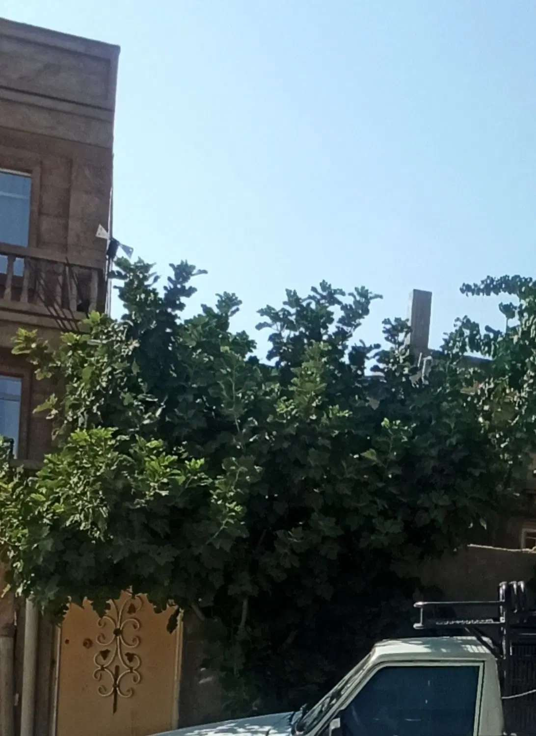 خانه اجاره ای