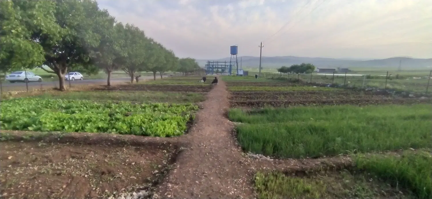 فروش زمین مناسب باغ عمرمل