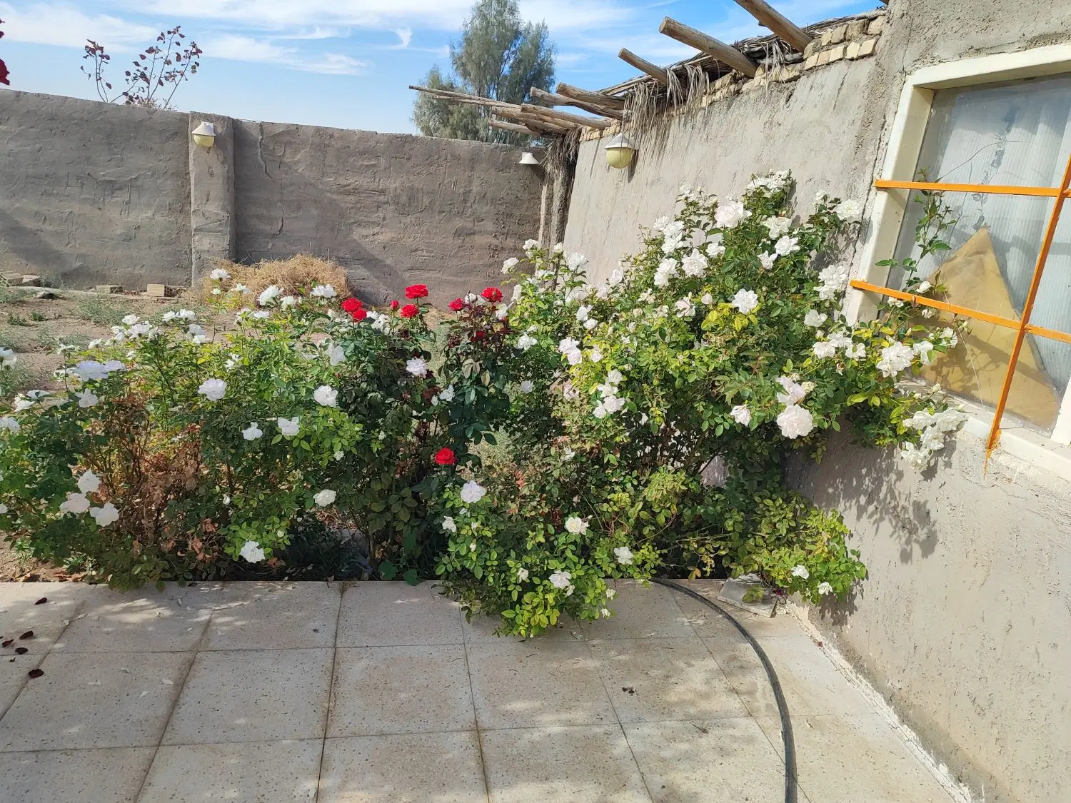 خانه باغ‌۱۳کیلومتری‌شهرسیرجان