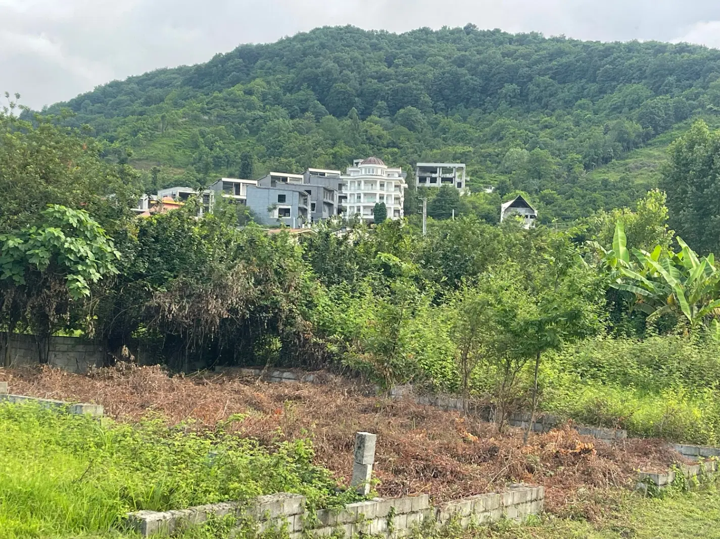 240 متر زمین دارای سند و پروانه در جلیل اباد