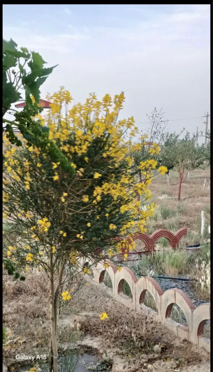 باغ