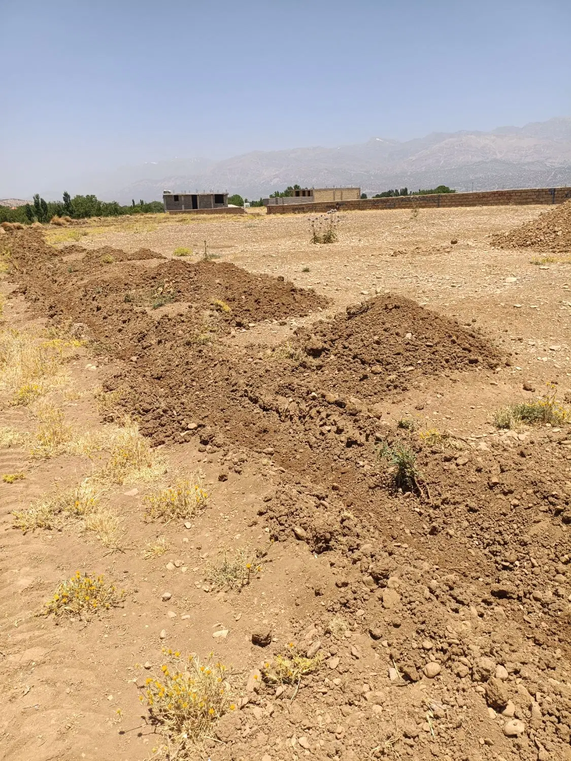 زمین مسکونی