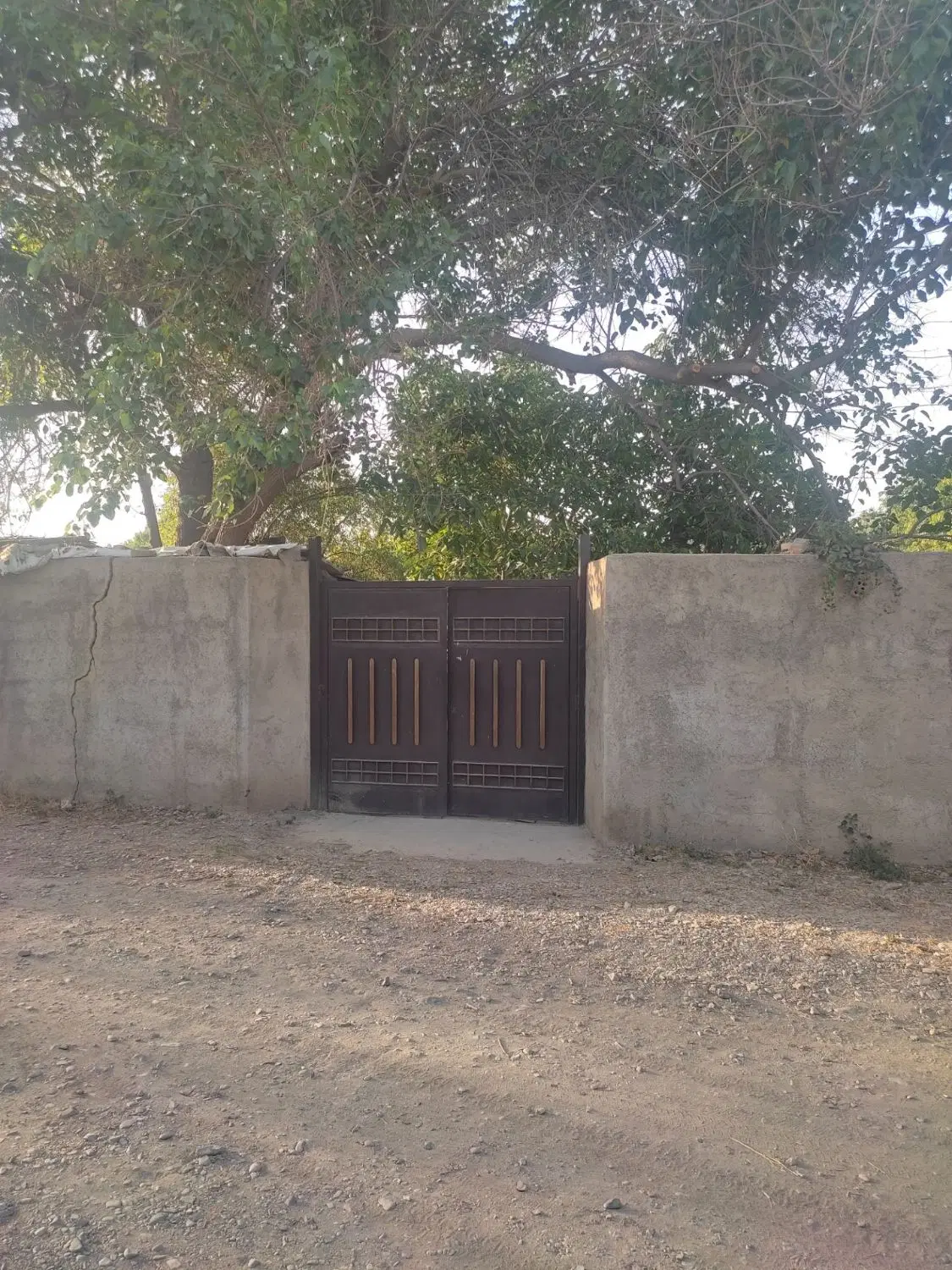 باغ چهار دیواری