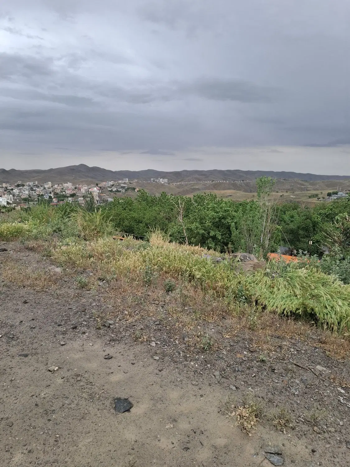زمین باغی