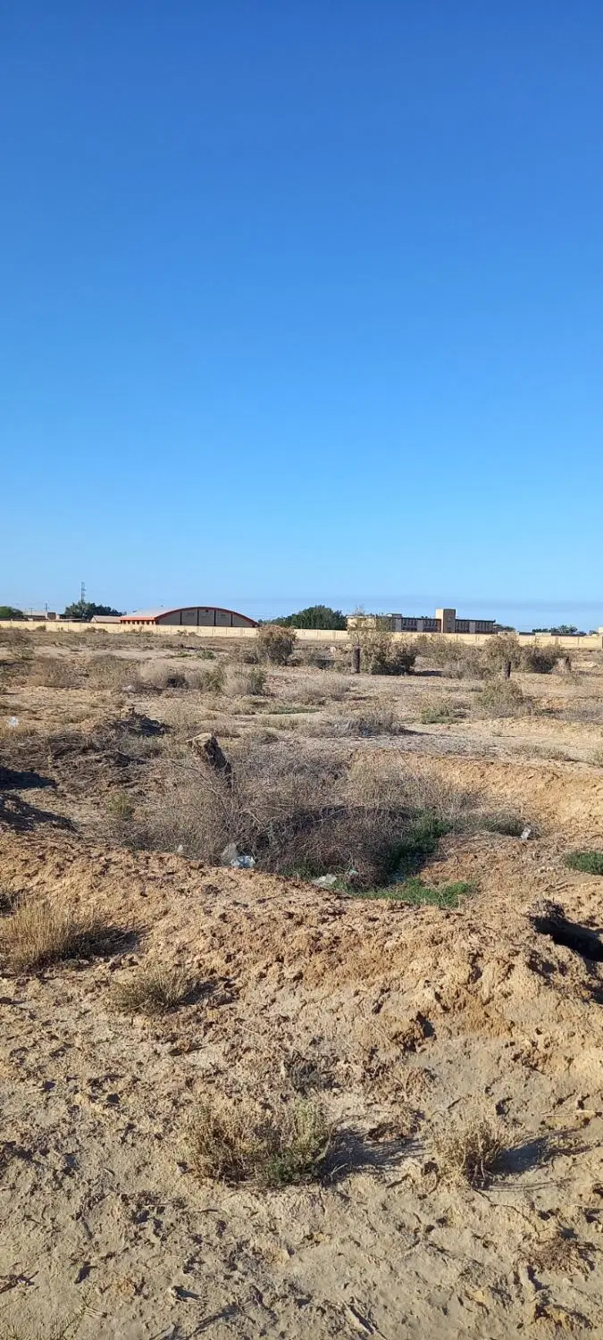 معاوضه زمین با ماشین پژو یا پراید