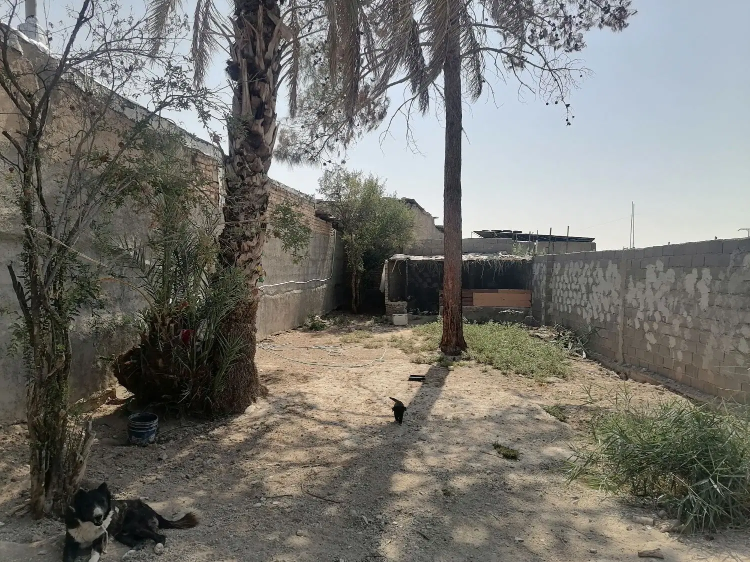 4 دیواری شناژ دار، باغچه