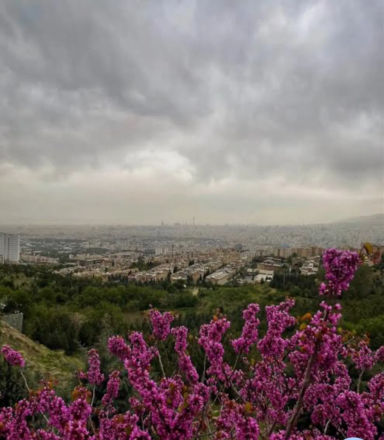 فروش زمین ۲۰۰ متری سوهانک