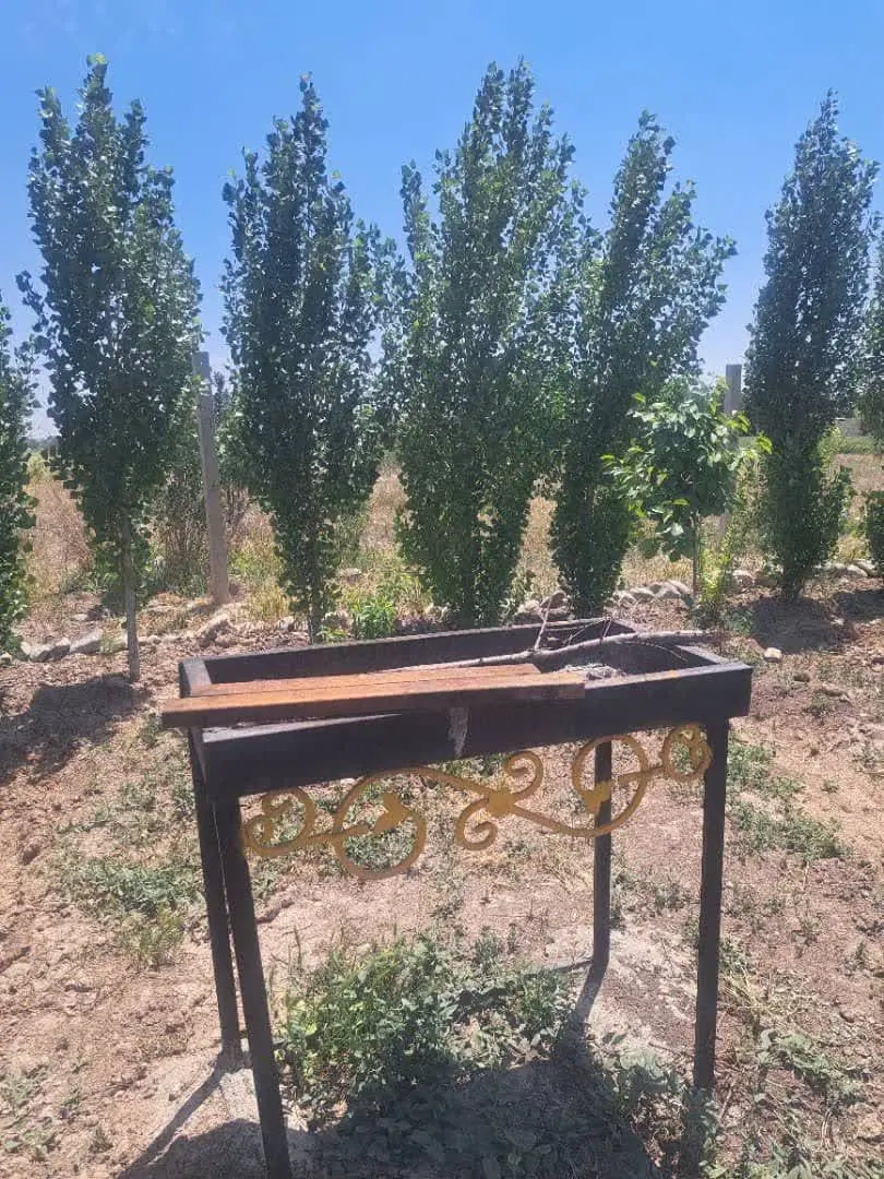 فروش باغچه 662 متری