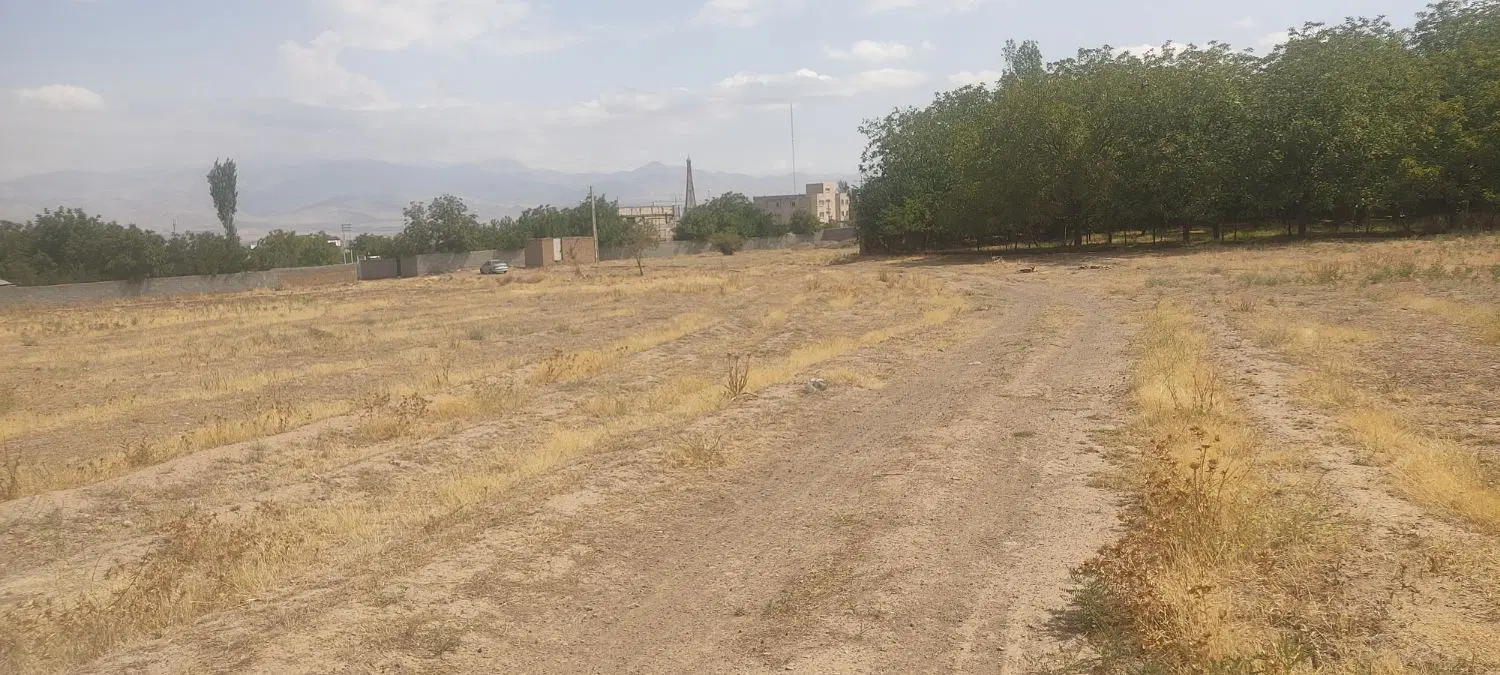 فروش زمین در بلوار عباسی