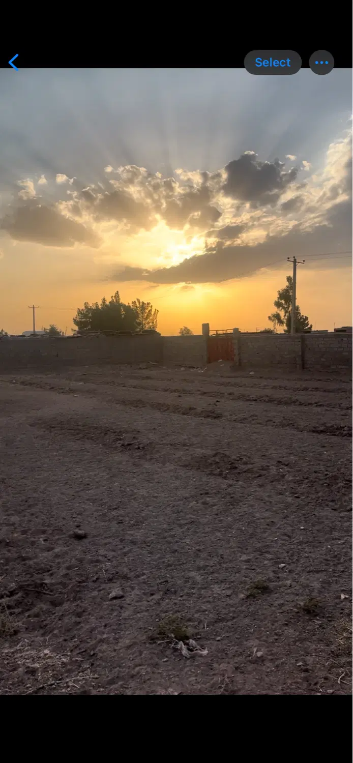 زمین با سند تک برگ