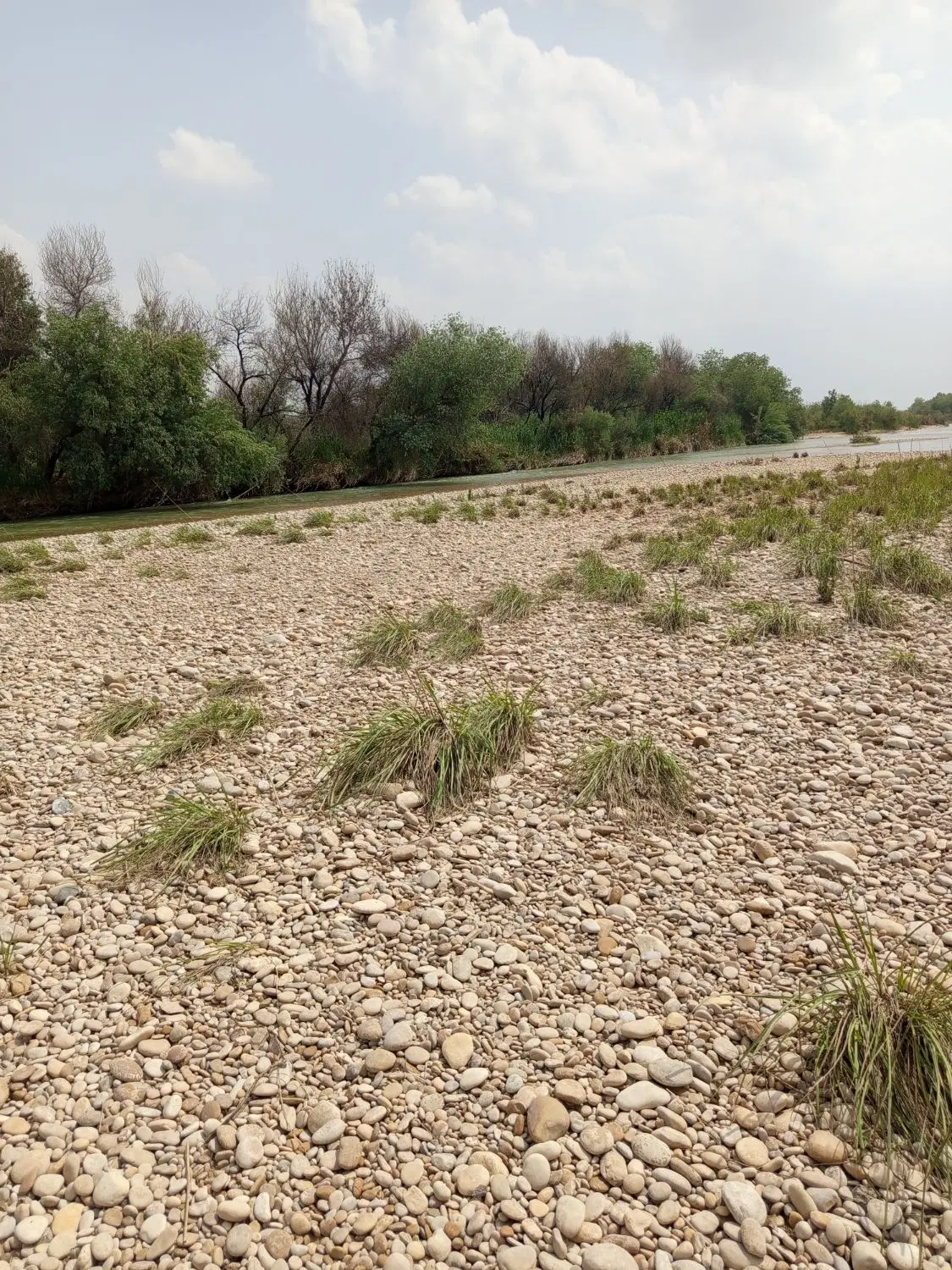 زمین درخیابان شقایق