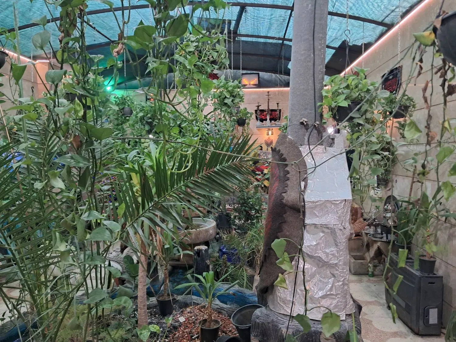 اجاره باغچه گلخانه ای کهریزسنگ