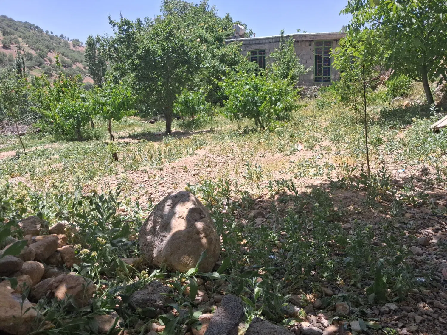 فروش زمین مسکونی در  روستای کریک