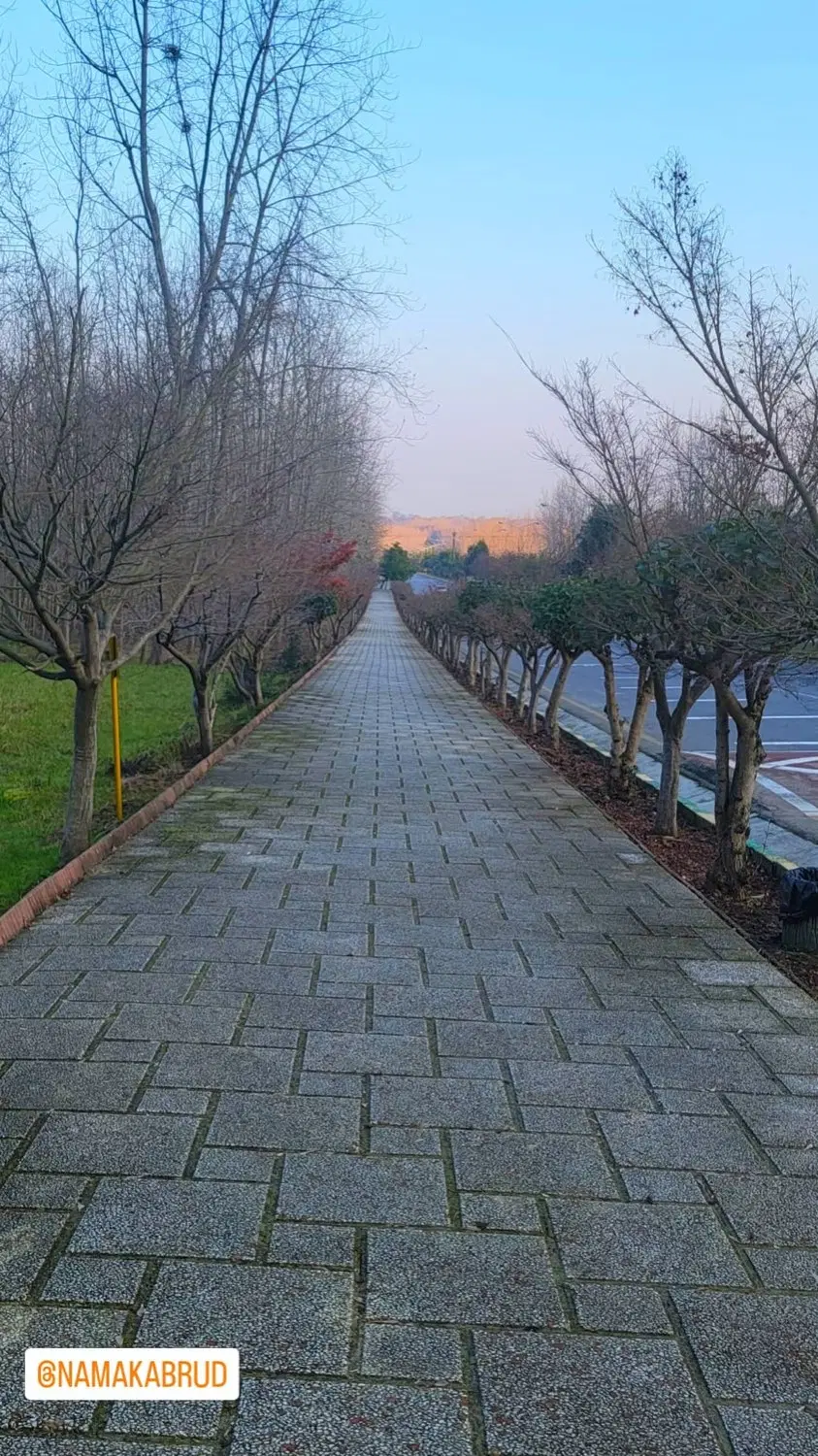 زمین با سند شش دانگ نمک آبرود