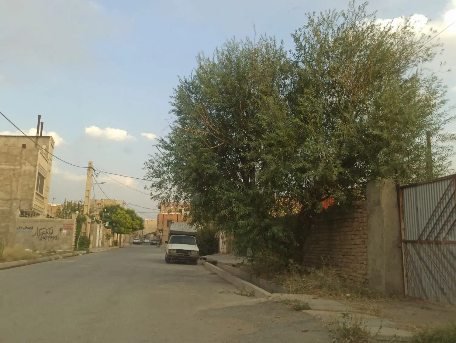 زمین مسکونی